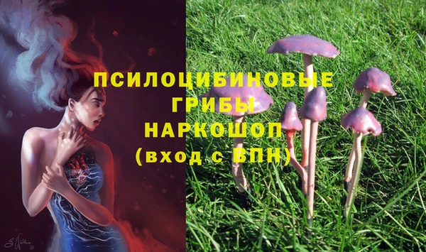экстази Алзамай