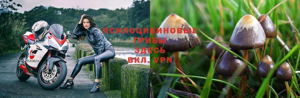 экстази Алзамай